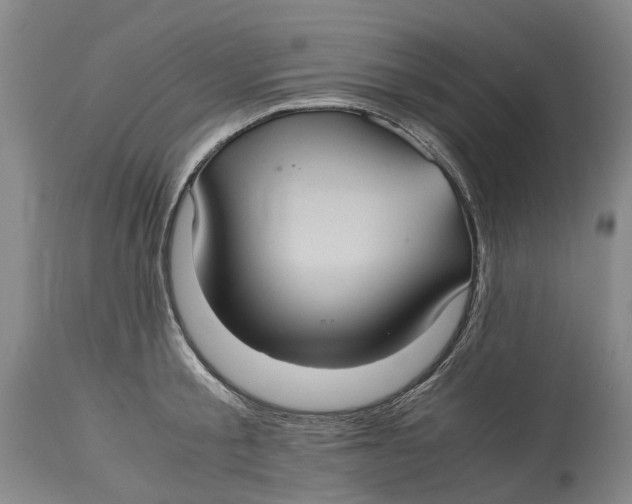 X0000115100805200911171239