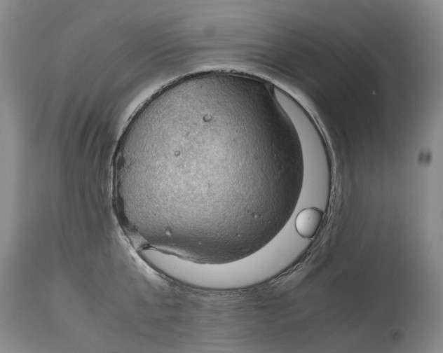 X0000115100807200911171239