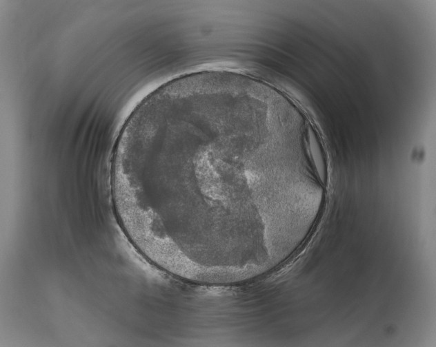 X0000115100808200911171239