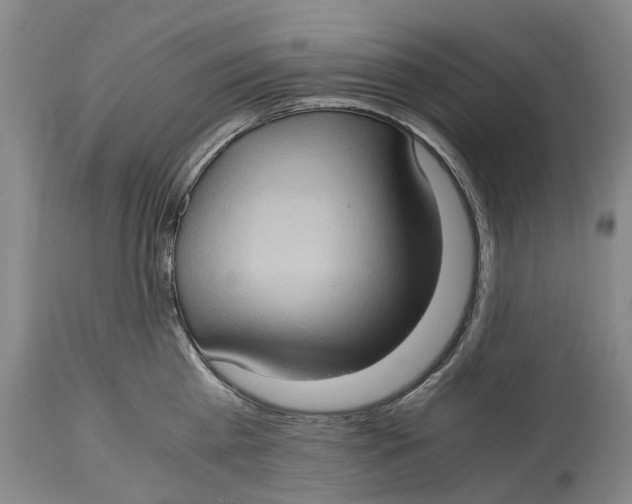 X0000115100809200911171239