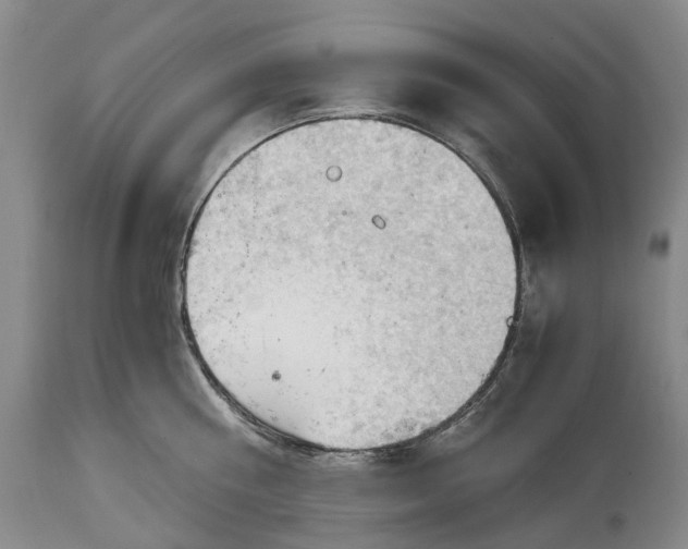 X0000115100810200911171239