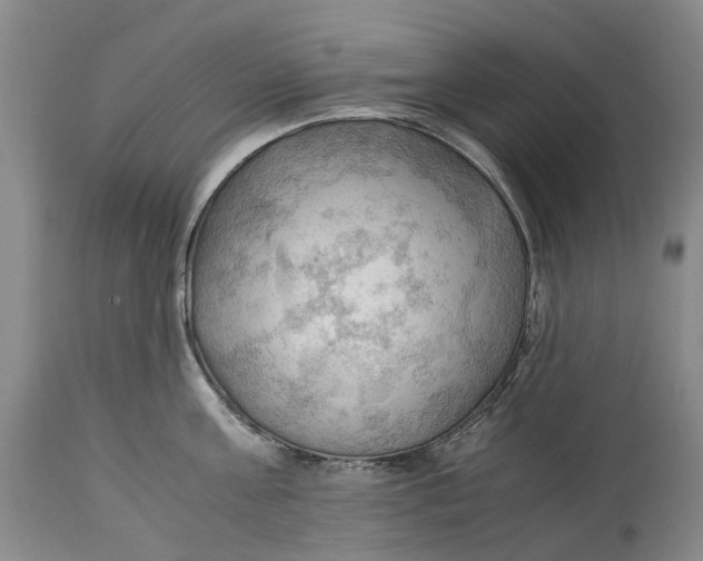 X0000115100811200911171239