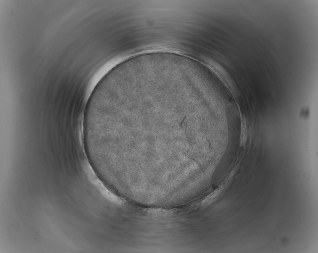 X0000115100812200911171239