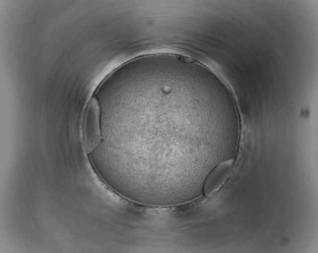 X0000115100813200911171239