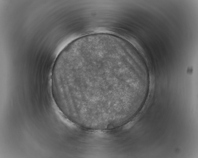 X0000115100814200911171239