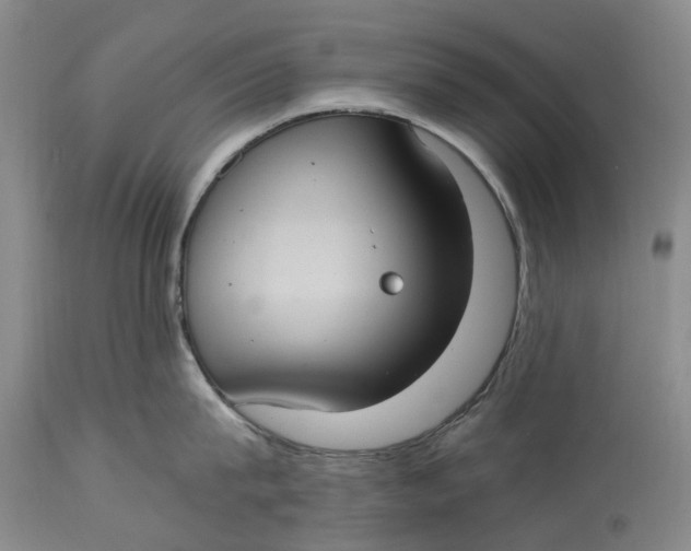 X0000115100815200911171239