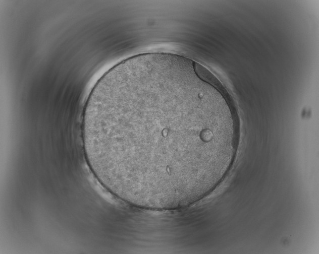 X0000115100816200911171239