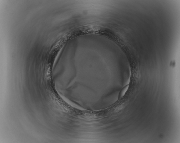 X0000115100818200911171238