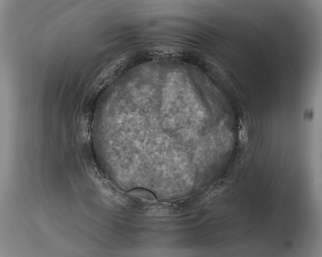 X0000115100819200911171238