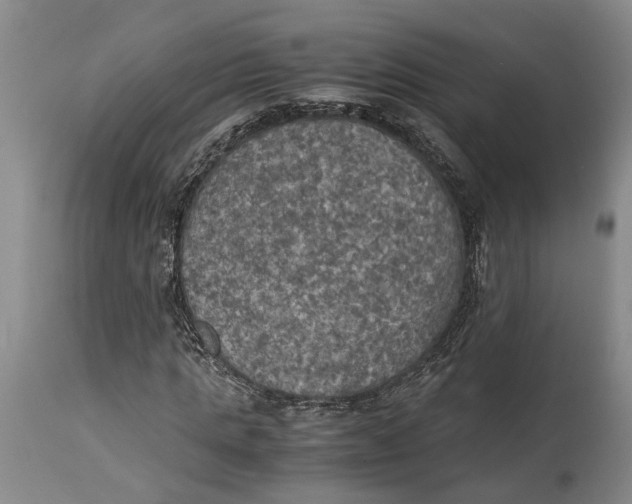 X0000115100821200911171238