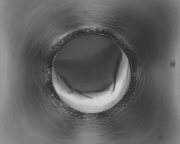 X0000115100822200911171238