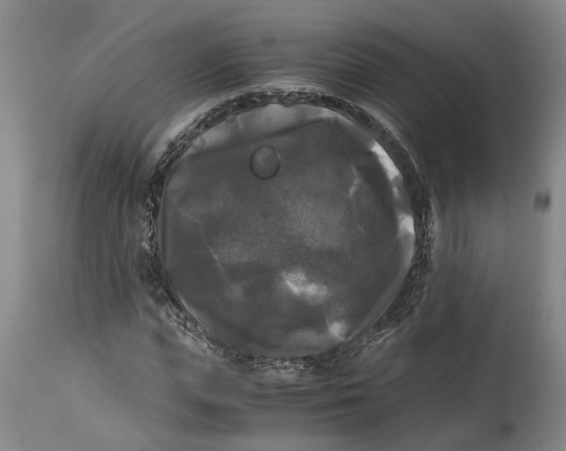 X0000115100823200911171238