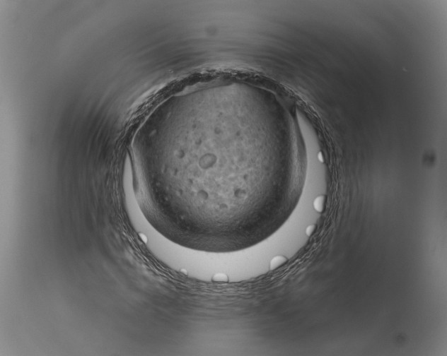 X0000115100824200911171238