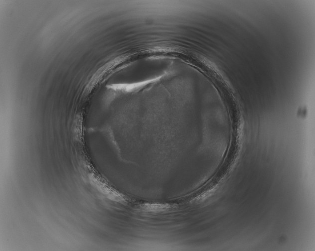 X0000115100825200911171238