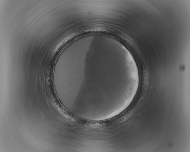 X0000115100826200911171238