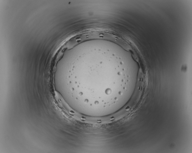 X0000115100828200911171238