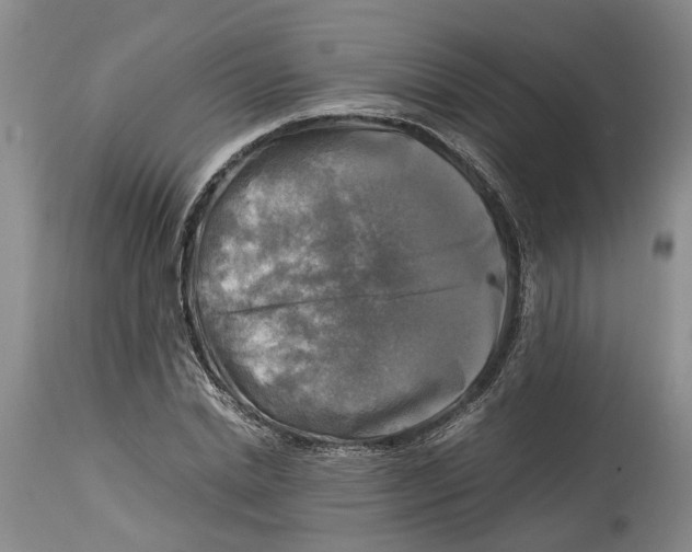 X0000115100830200911171238