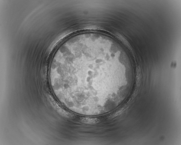 X0000115100831200911171238