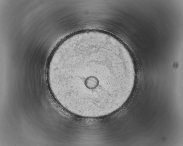 X0000115100832200911171238