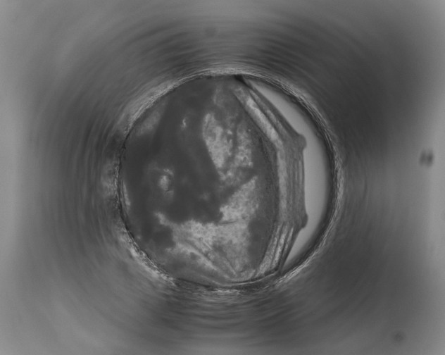 X0000115100833200911171238