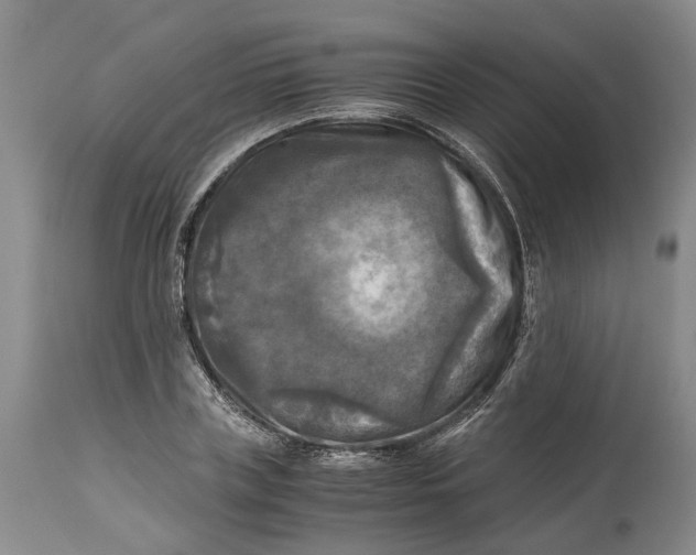 X0000115100835200911171238