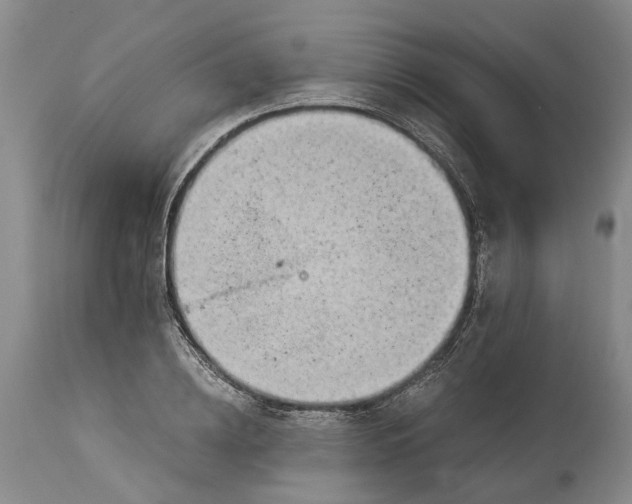 X0000115100836200911171238