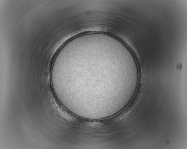 X0000115100837200911171238