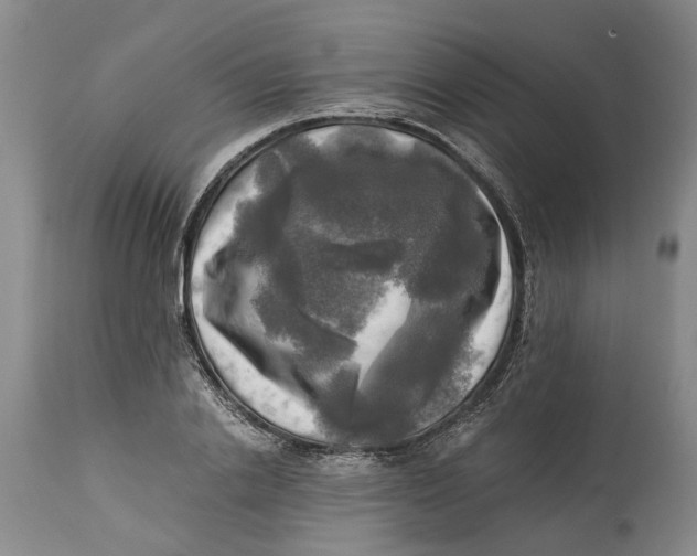 X0000115100838200911171238