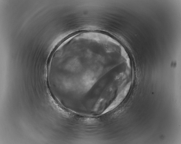 X0000115100839200911171238