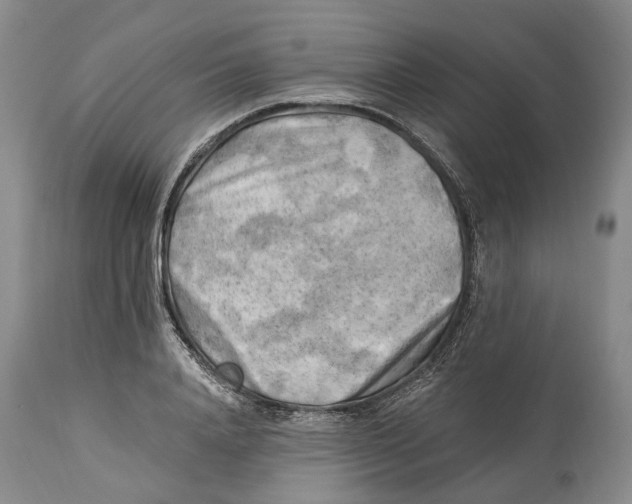 X0000115100840200911171238