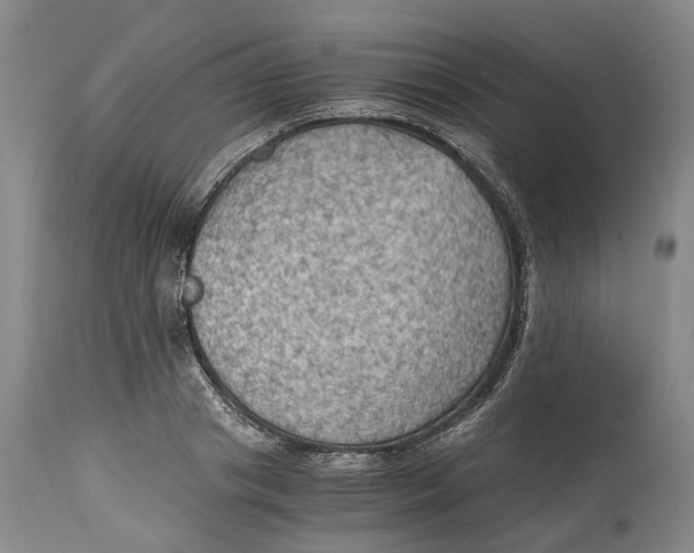 X0000115100841200911171238