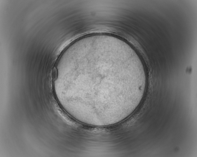 X0000115100842200911171238