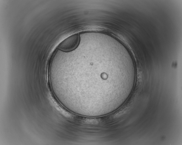 X0000115100843200911171238