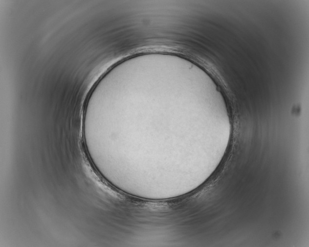 X0000115100844200911171238