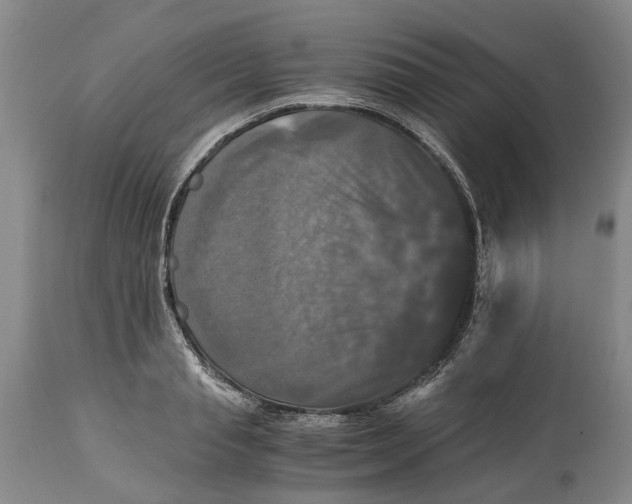 X0000115100845200911171239