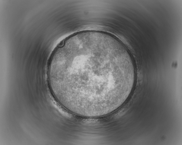 X0000115100846200911171239