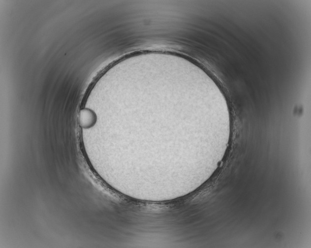 X0000115100848200911171239