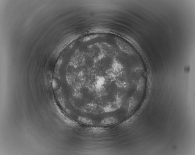 X0000115100849200911171239