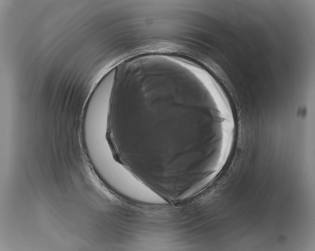 X0000115100850200911171239