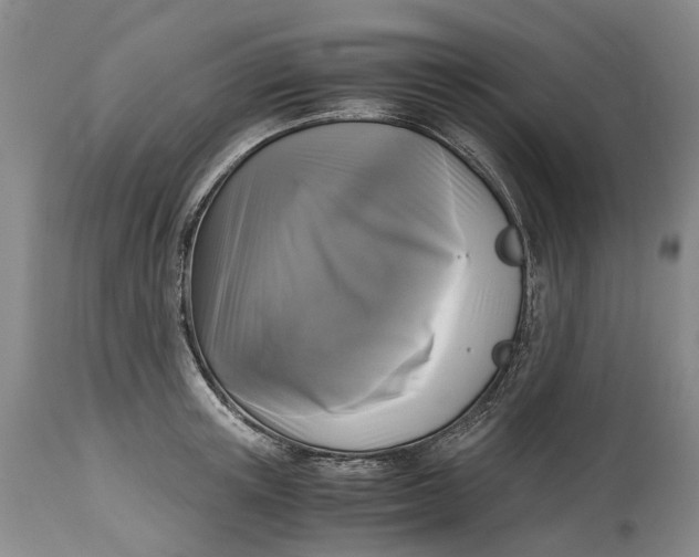 X0000115100851200911171239