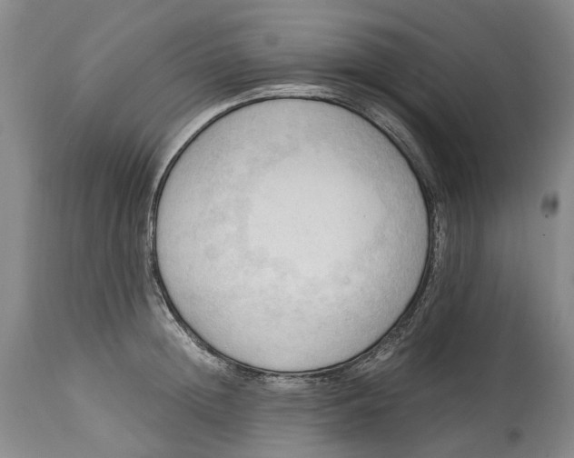 X0000115100852200911171239