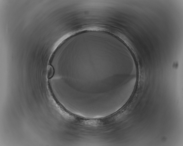 X0000115100853200911171239