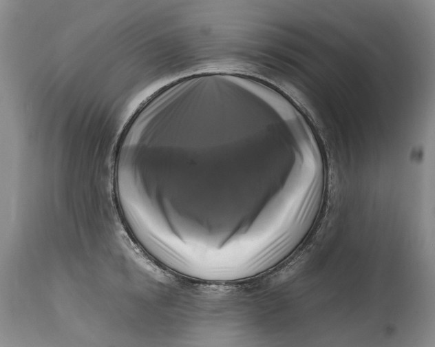 X0000115100854200911171239