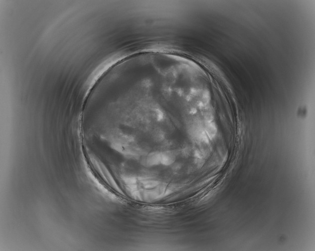 X0000115100855200911171239