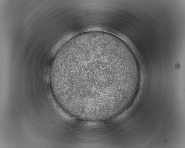 X0000115100857200911171239