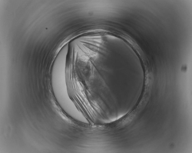 X0000115100858200911171239