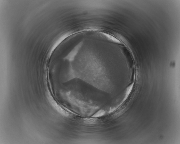 X0000115100859200911171239