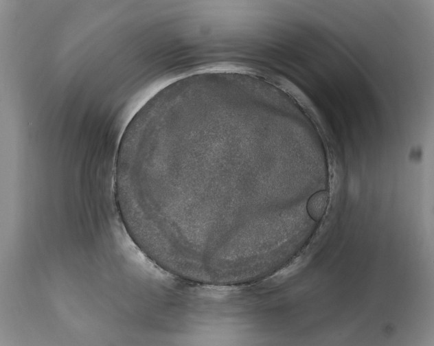 X0000115100860200911171239