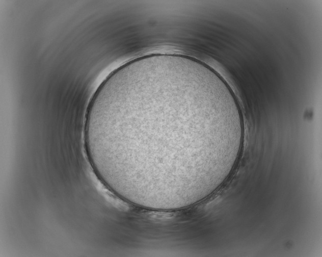 X0000115100861200911171239