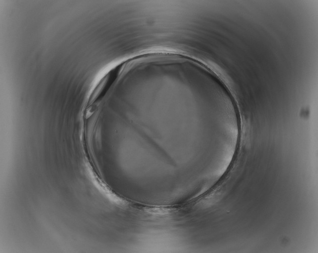 X0000115100862200911171239